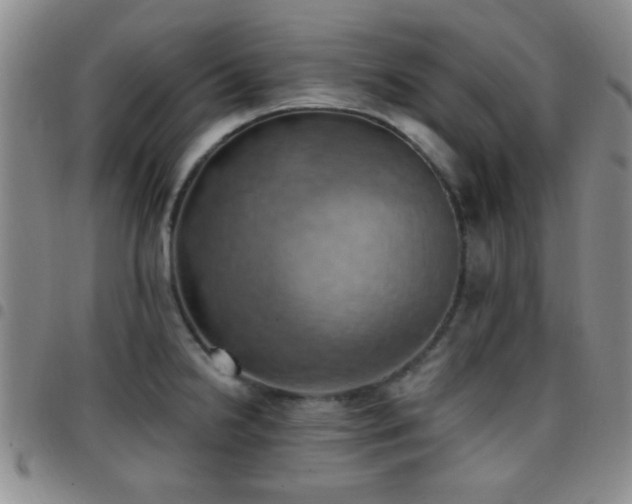 X0000097811238200803141112
