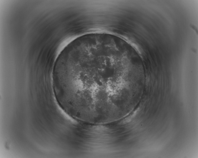 X0000097811239200803141112