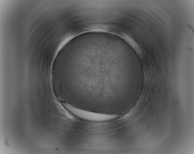 X0000097811240200803141112