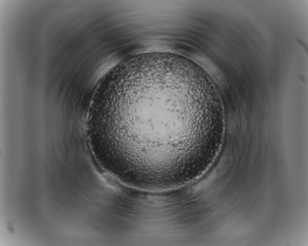 X0000097811241200803141112