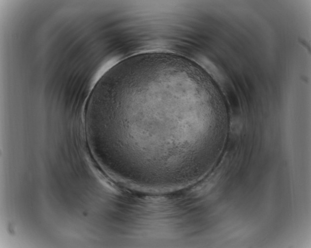X0000097811242200803141112