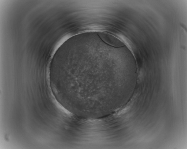 X0000097811243200803141112