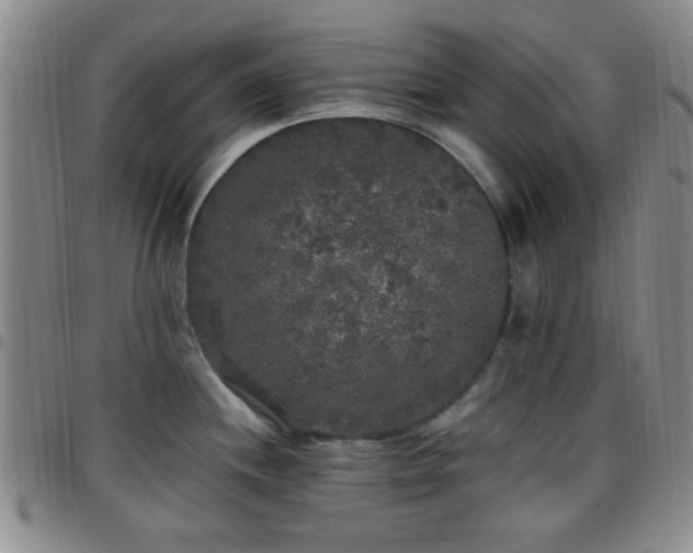 X0000097811244200803141112