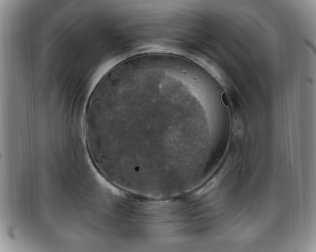 X0000097811247200803141112