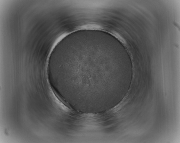 X0000097811248200803141112