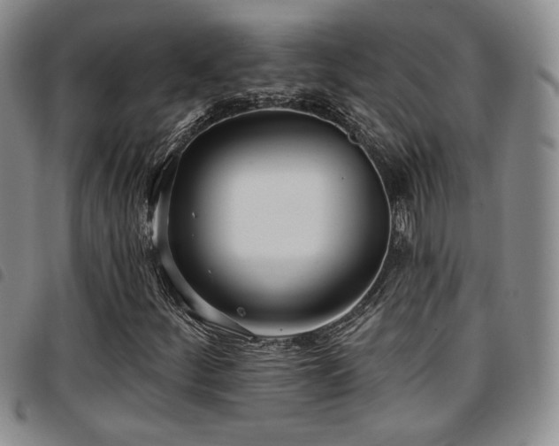 X0000097811252200803141111