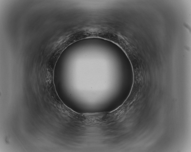 X0000097811253200803141111