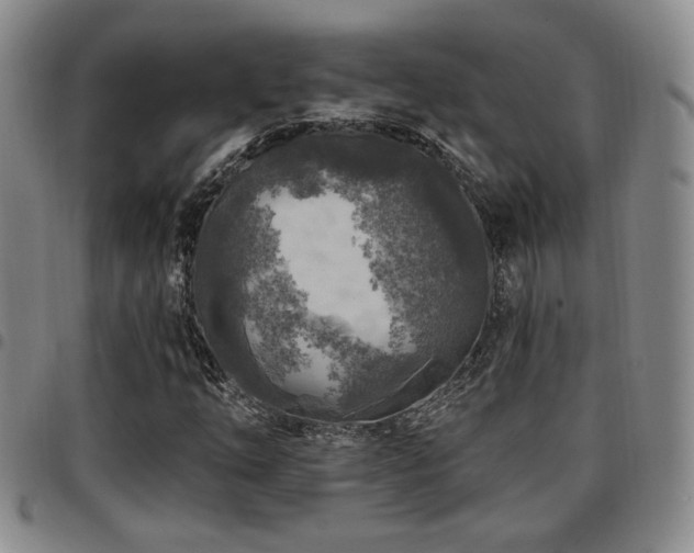 X0000097811254200803141111