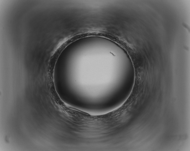 X0000097811256200803141111
