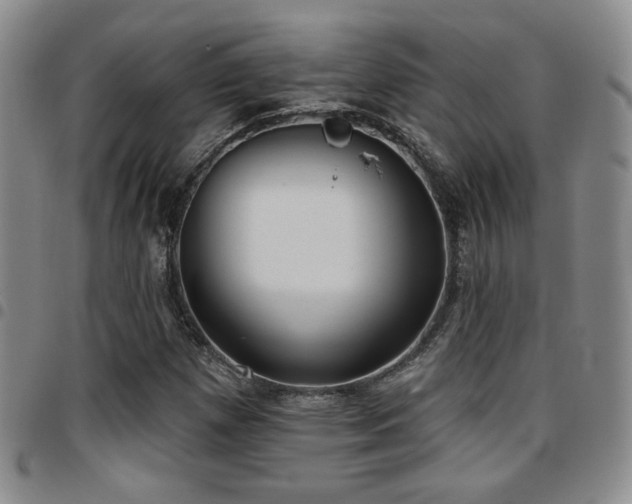 X0000097811257200803141111