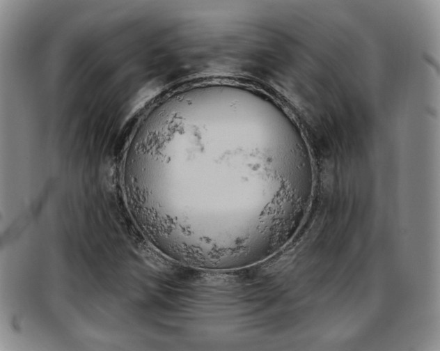 X0000097811258200803141111