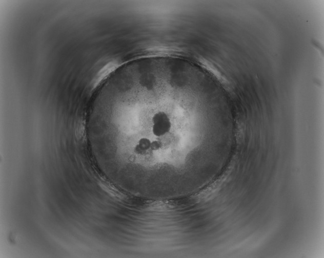 X0000097811259200803141111