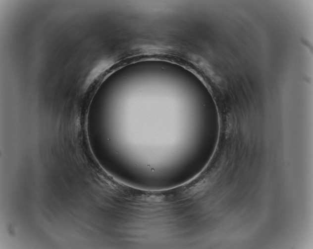 X0000097811261200803141111