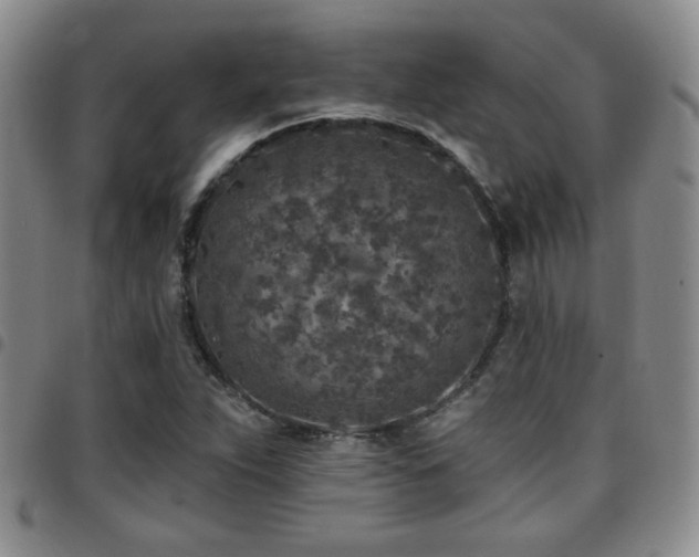 X0000097811263200803141111