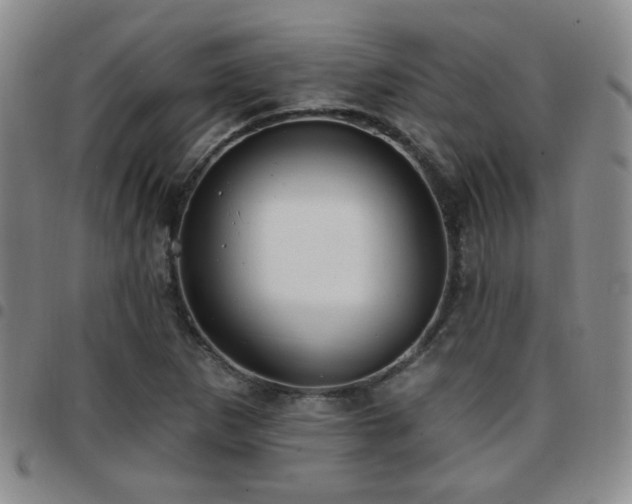 X0000097811265200803141111