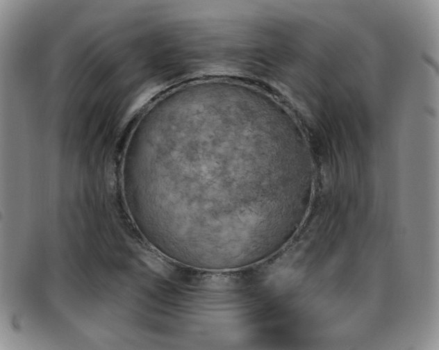 X0000097811266200803141111