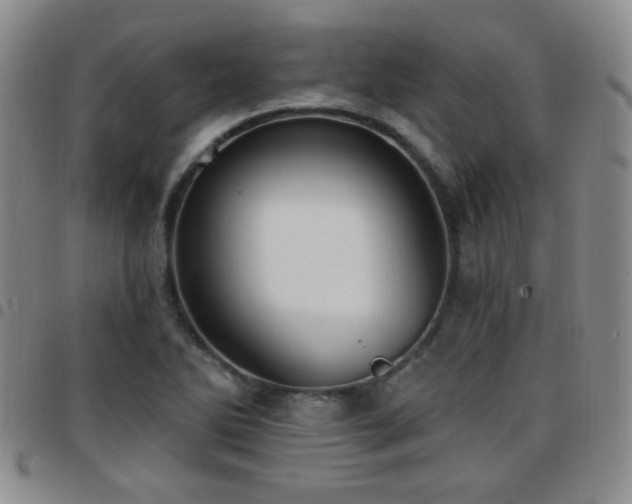 X0000097811270200803141111