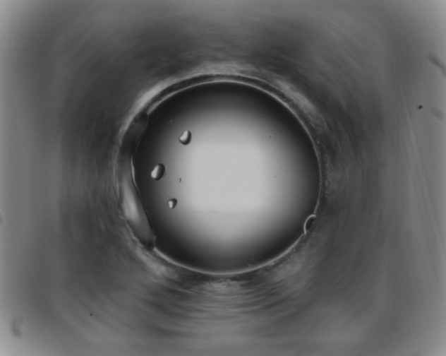 X0000097811272200803141111