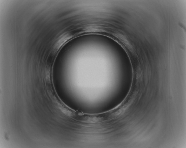 X0000097811273200803141111