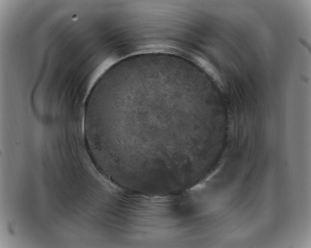 X0000097811275200803141111