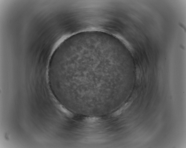 X0000097811278200803141111