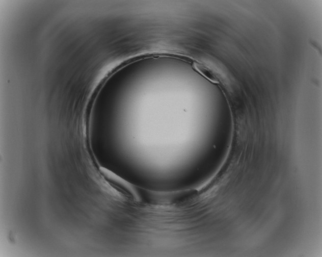 X0000097811280200803141111