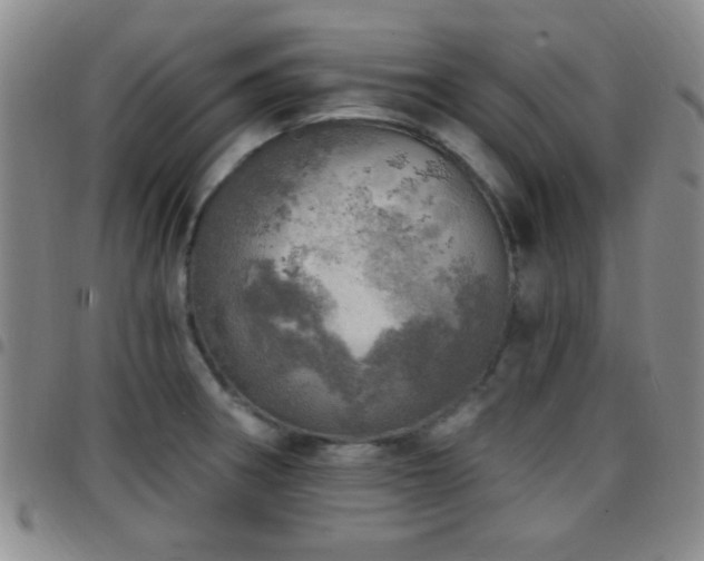 X0000097811282200803141111