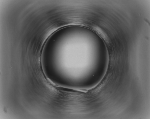 X0000097811284200803141111