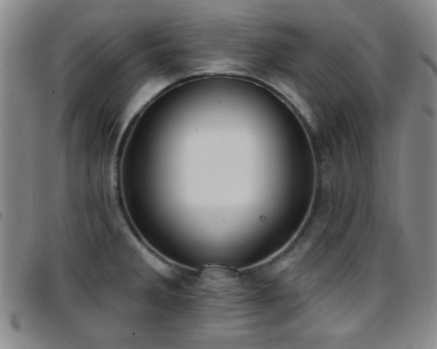 X0000097811285200803141111