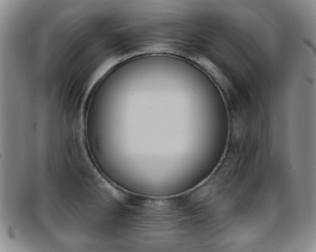 X0000097811286200803141110