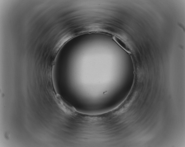 X0000097811289200803141110