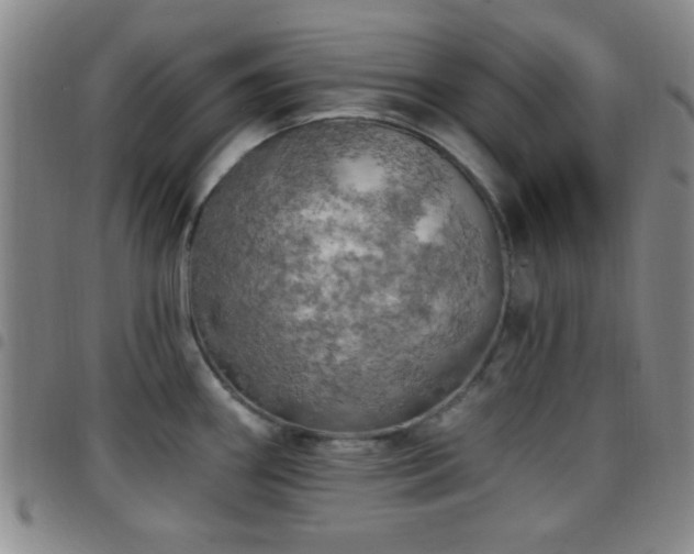 X0000097811290200803141110