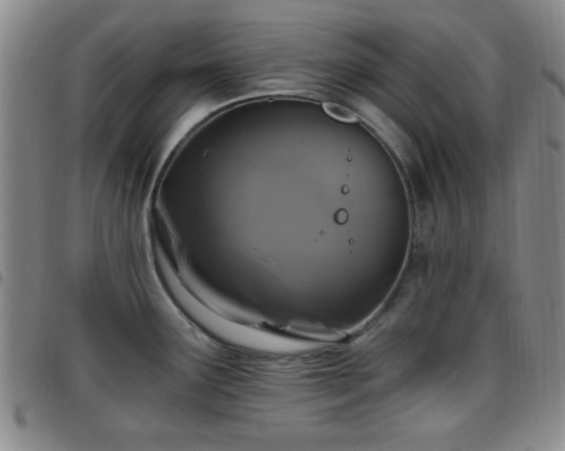 X0000097811291200803141110