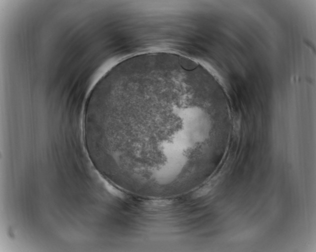 X0000097811294200803141110