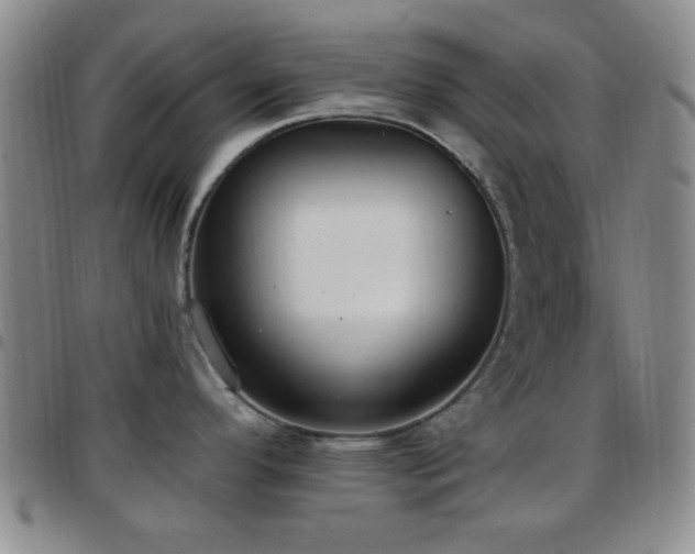 X0000097811296200803141110