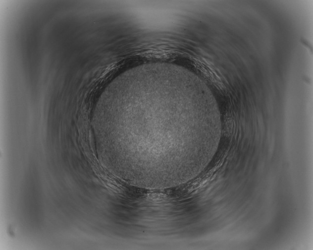X0000097811297200803141110