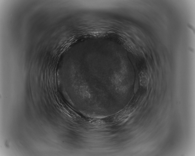 X0000097811298200803141110