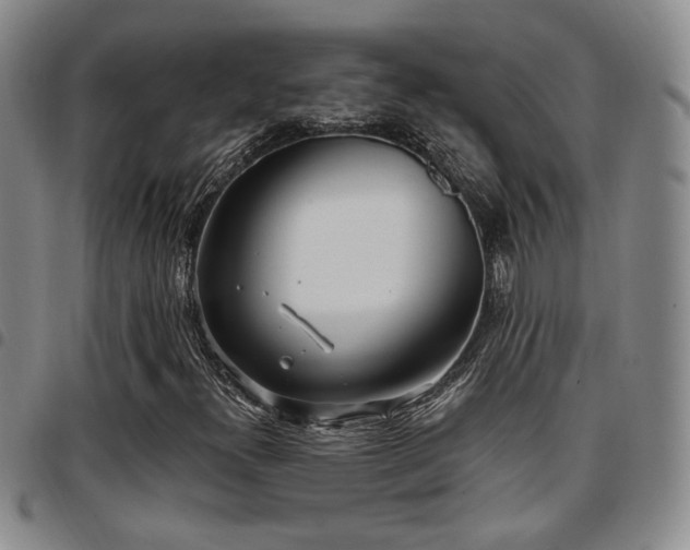X0000097811300200803141110