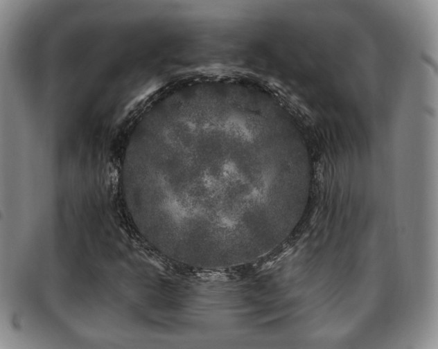 X0000097811302200803141110