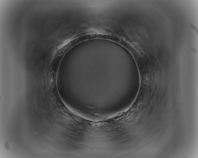 X0000097811303200803141110
