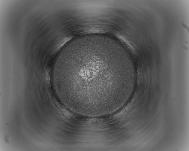 X0000097811305200803141110