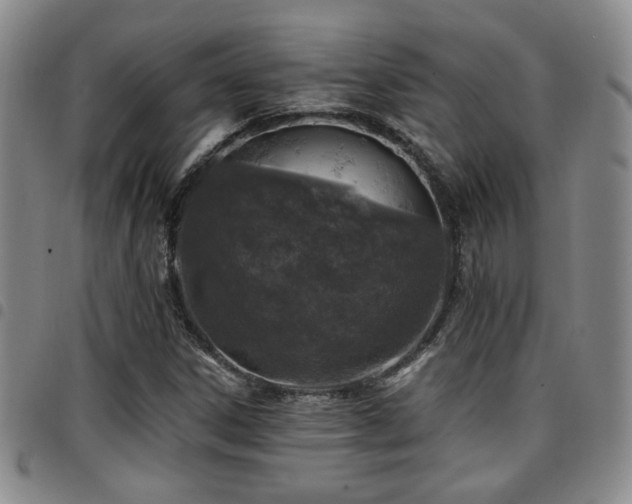 X0000097811306200803141110
