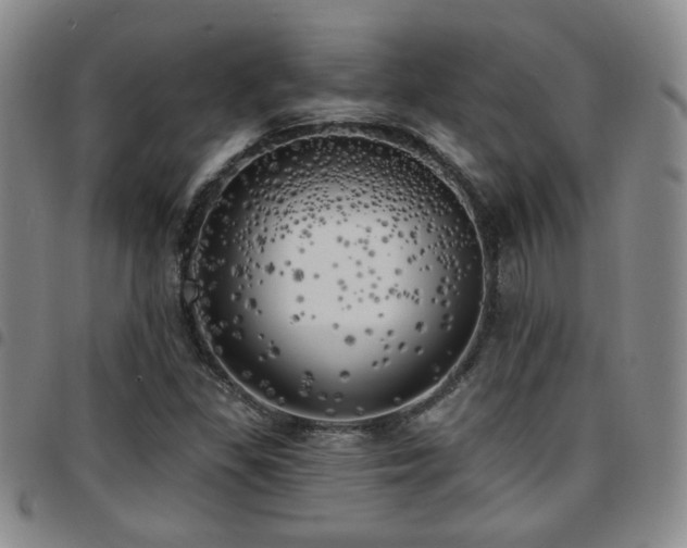 X0000097811309200803141110