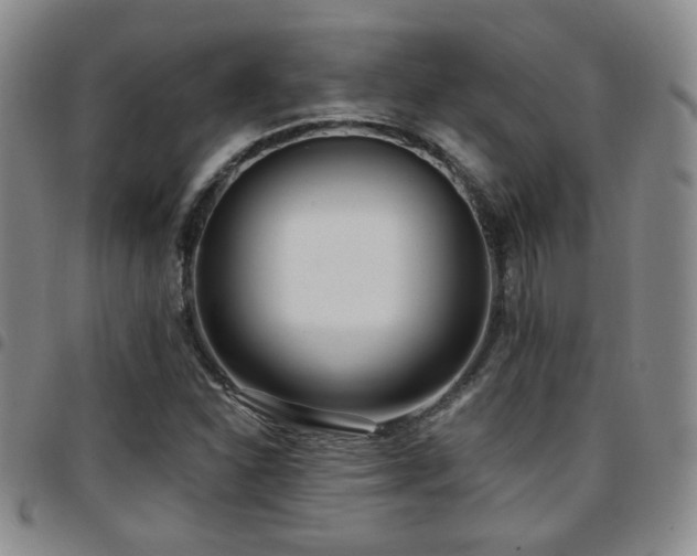 X0000097811310200803141110