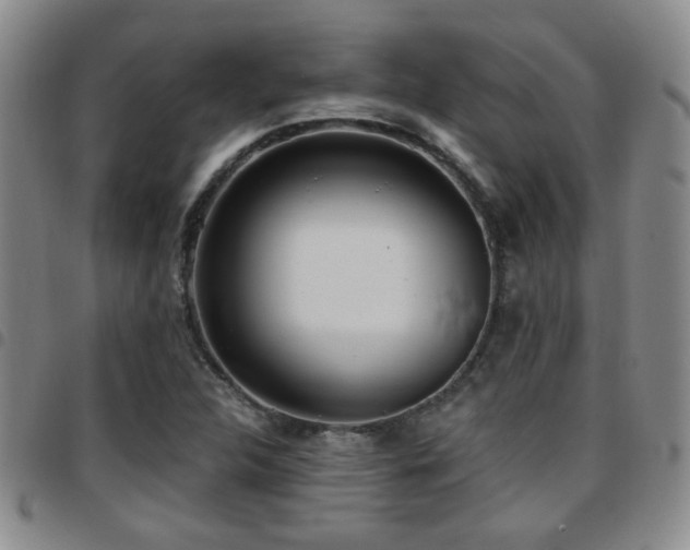 X0000097811312200803141110