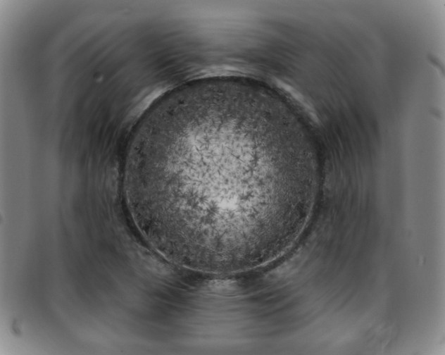 X0000097811313200803141110