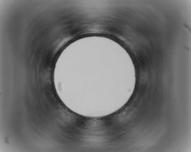 X0000097811314200803141110