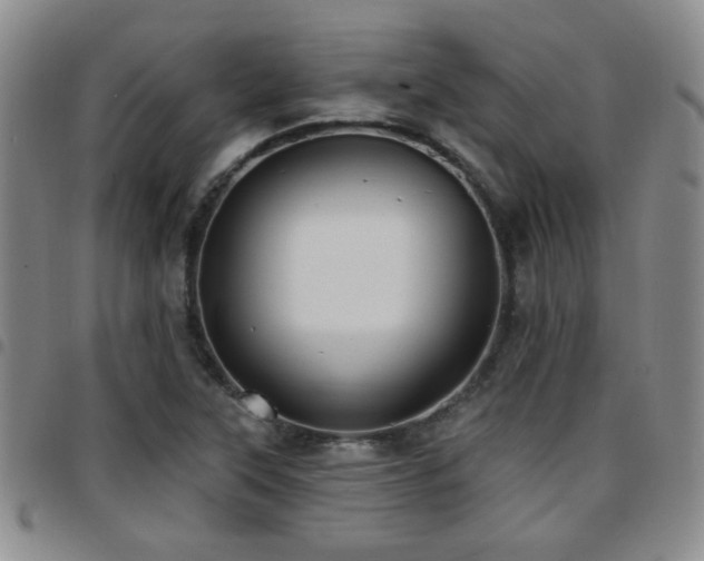 X0000097811315200803141110