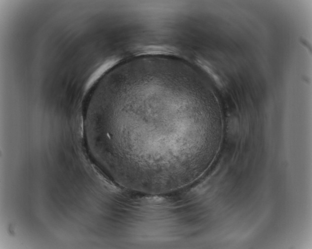 X0000097811317200803141110