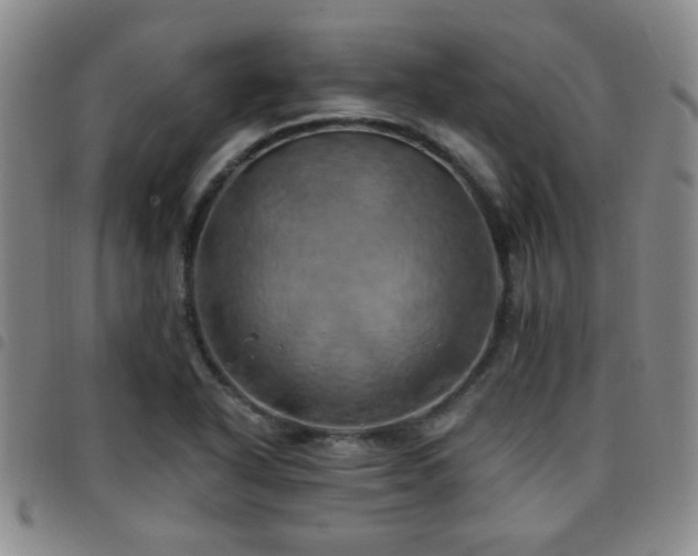 X0000097811318200803141110